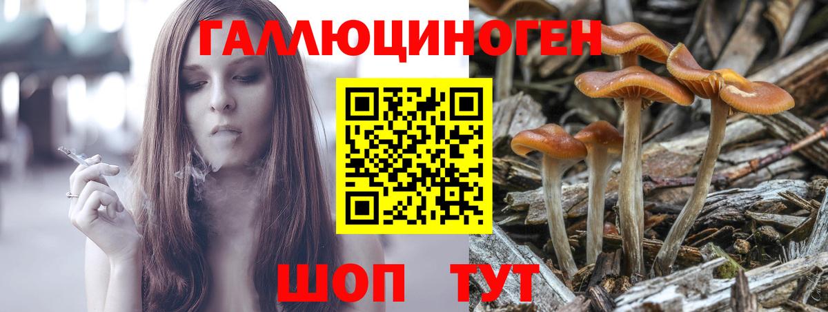 Керчь  Псилоцибиновые грибы мухоморы  Вход с VPN  Галлюциногенные грибы прущие грибы 