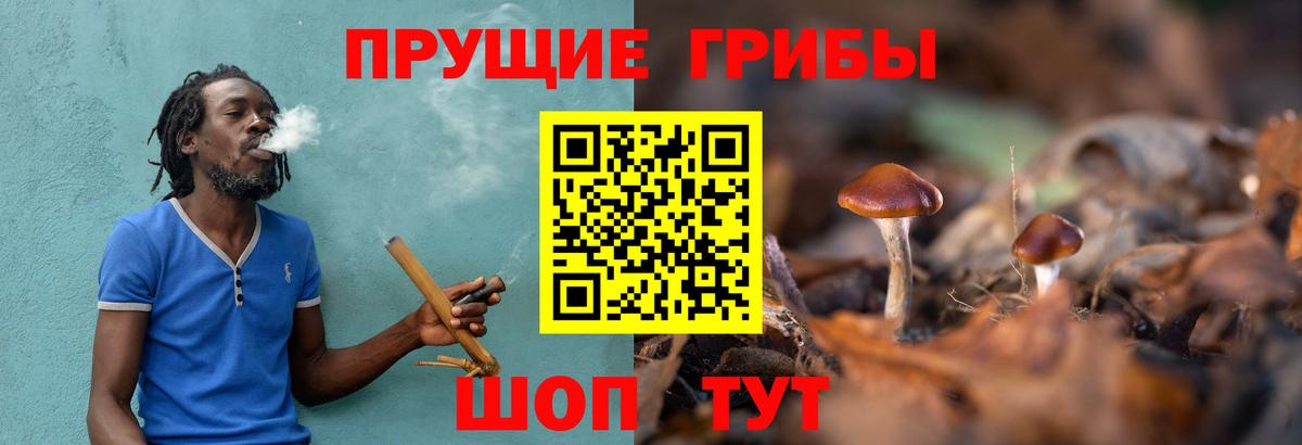 Псилоцибиновые грибы прущие грибы Керчь